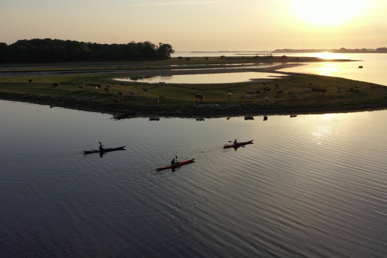 Roskilde: Kajakken met gids op Roskilde Fjord: Tocht bij zonsondergang