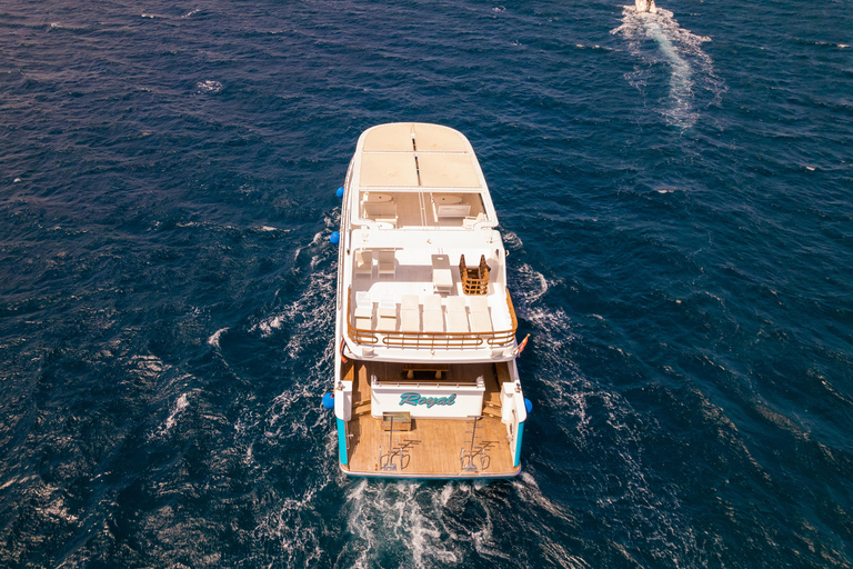 Hurghada: All-Inclusive Elite VIP Dolphin House & Massage Including Transfer from Hurghada