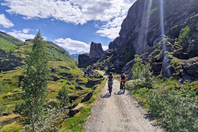 Guided, electric bicycle tour from Vatnahalsen (near Flam) Guided e-bike tour from Vatnahalsen (Myrdal) - Rallarvegen