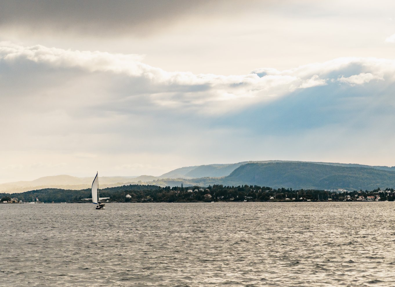 Oslo: Aftencruise i fjorden med rejebuffet