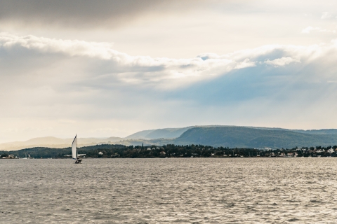 Oslo: avondtocht van 3 uur per boot door fjorden, met buffet