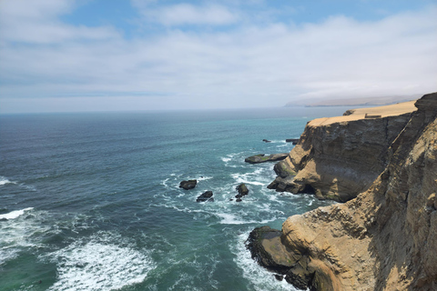 Tour por la reserva de Paracas, las islas Ballestas, Huacachina y las dunasReserva de Paracas, islas Ballestas, Huacachina y dunas