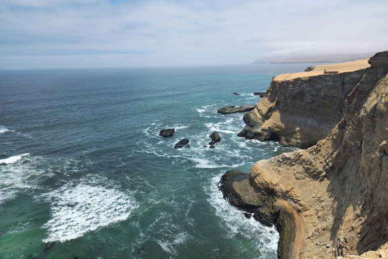 Tour por la reserva de Paracas, las islas Ballestas, Huacachina y las dunasReserva de Paracas, islas Ballestas, Huacachina y dunas