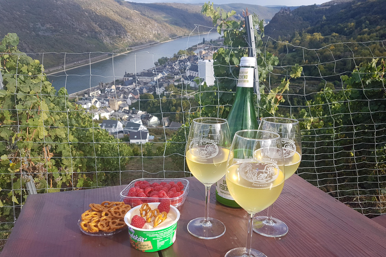 Tour privato della Valle del Reno con crociera sul fiume e degustazione di vini