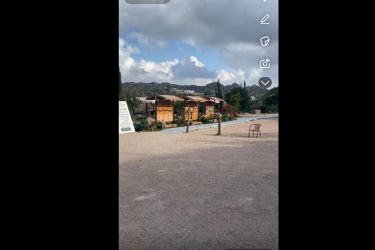 Makkah or Jeddah to Al-Hada, Al-Shafa, and Taif City Tour A journey full of experiences، learn about Saudi hospitality