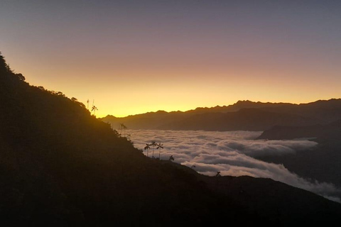 Minca: Cerro Kennedy and La Victoria Coffee Farm Tour