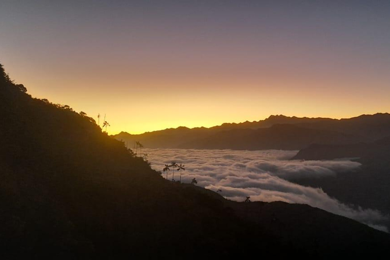 Minca: Cerro Kennedy and La Victoria Coffee Farm Tour