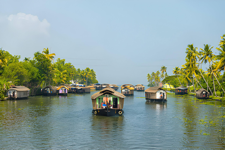 From Cochin: Munnar and Alleppey 4-Day Tour with Houseboat