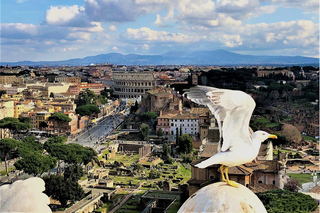 Rome: Vatican, Colosseum & Main Squares Tour w/ Lunch & Car