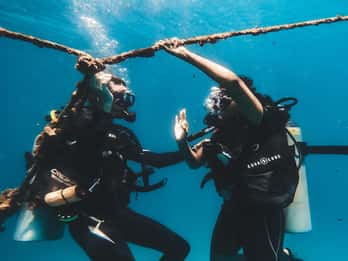 Immersione introduttiva per principianti a Koh Kood o Koh Rang