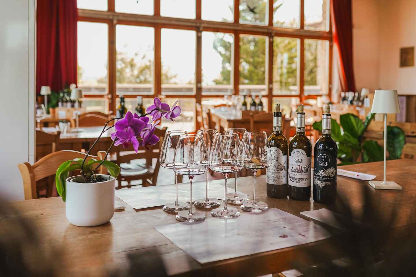 Montalcino: Guided Winery Tour and Wine Tasting