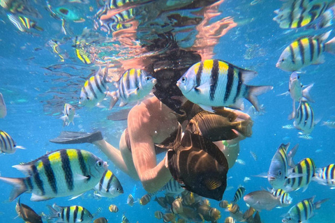 Gili Trawangan: 3-Island Snorkeling Tour with GoPro Photos