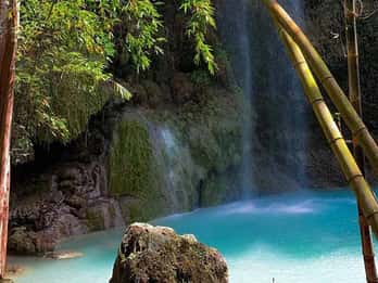 Cebu: excursão ao tubarão-baleia, Tumalog, Sumilon e Moalboal