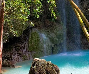 Cebu: Tubarão-baleia, Tumalog e Moalboal Tour