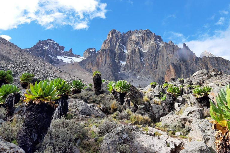 Expedições de 4 dias para escalada e caminhada no Monte Quênia: Rota Sirimon