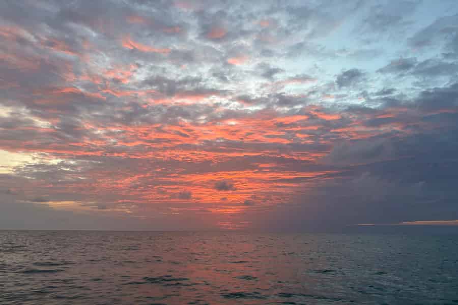 Anna Maria Island: Sonnenuntergangsfahrt mit Wildtierbeobachtung. Foto: GetYourGuide Anna Maria Island: Sonnenuntergangsfahrt mit Wildtierbeobachtung. Foto: GetYourGuide