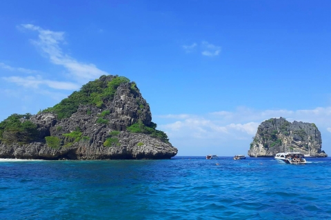 Phuket: privé Rok-eiland en Haa-eiland speedbootcharterPrivétour zonder gids