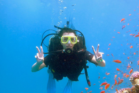 Sharm El Sheikh: Ras Mohamed Snorkeling & Diving Boat Trip Ras Mohamed & White Island – Snorkeling Package