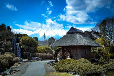 From Tokyo: Mount Fuji Full Day Customizable Private Tour