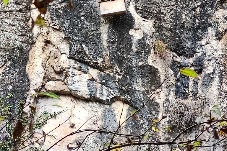 From Bucharest: Eco Trail in Bulgarian Conservation Parks