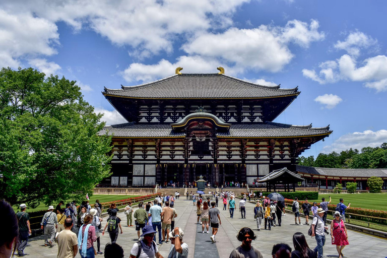 Tokyo: 8-Day Tour with Fuji, Kyoto, Nara, Hiroshima & Osaka Day 8 - Osaka Highlights (Spanish)