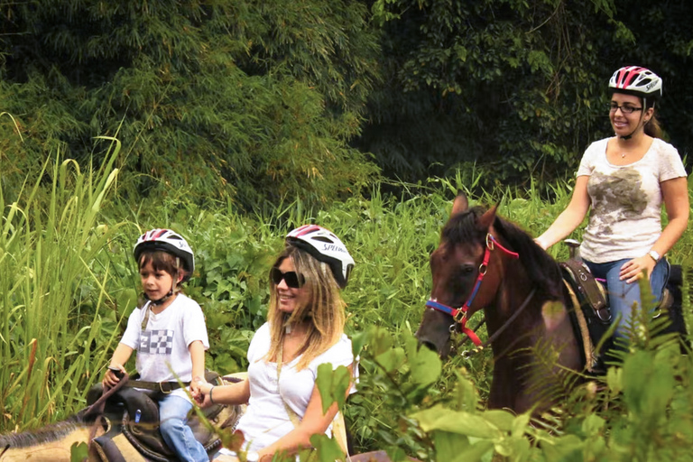 Carabalí Rainforest Park: Rainforest Horseback Riding Tour 2-Hour Horseback Ride