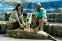 Aquarium de Géorgie, Rencontre des animaux du phoque du port - Hizvo