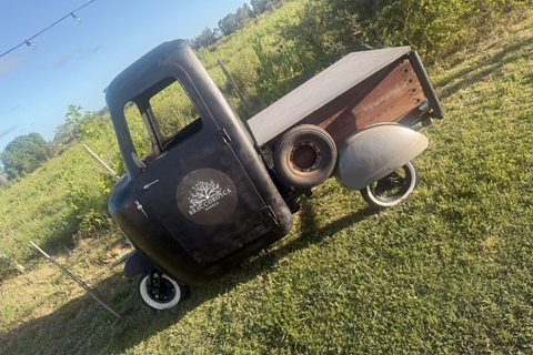 Braccobosca 酒庄之旅参观布拉科博斯卡酒庄并品尝特级葡萄酒