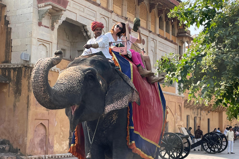 斋浦尔带司机和导游的私人城市之旅