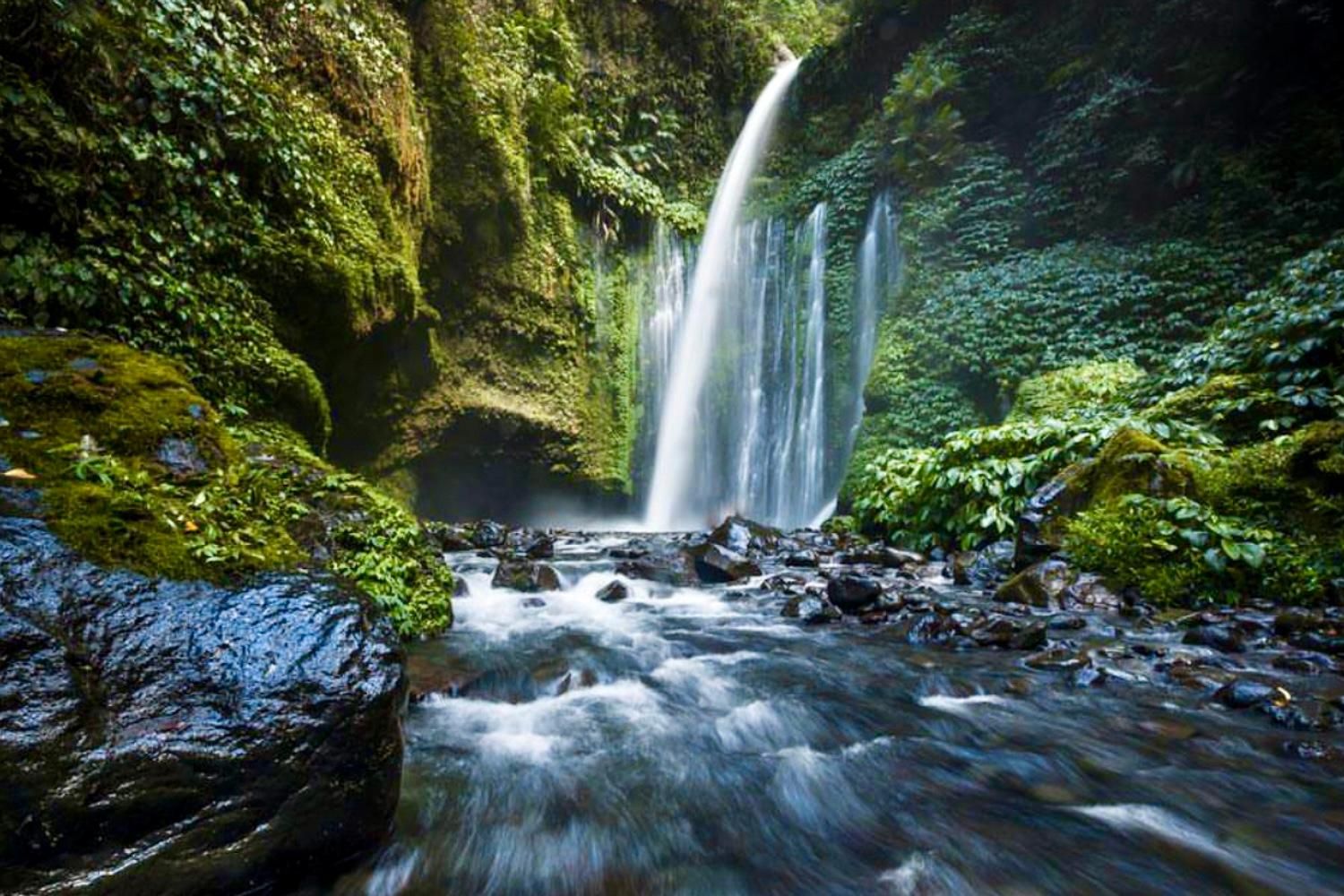 Lombok: Sendang Gile – Tiu Kelep & Selong Hills Sembalun