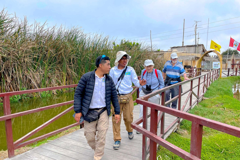 Dernier petit refuge de faune sauvage à Lima