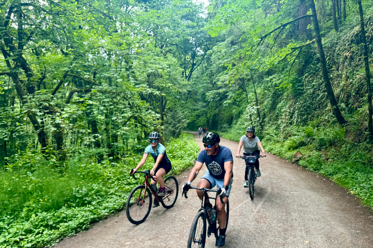 Portland: Forest Park Bike or E-Bike Tour Medium Carbon Gravel Bike (5'7"-5'11" or 170-181cm)