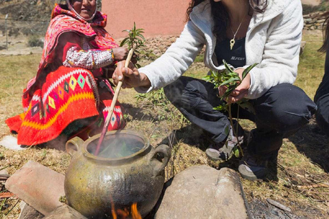 Cusco : Tourisme expérientiel à Huilloc - Vallée Sacrée