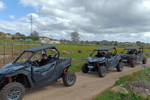 Majorka: Górska przygoda na buggy z wycieczką po tajemniczych zatoczkach4-osobowy wózek Buggy Coastal Route bez jazdy terenowej