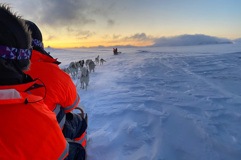 Island-Husky-Tour – Fahrt- und Kuschel-ErlebnisIsland: Husky-Schlittenfahrt und Kuschelerlebnis