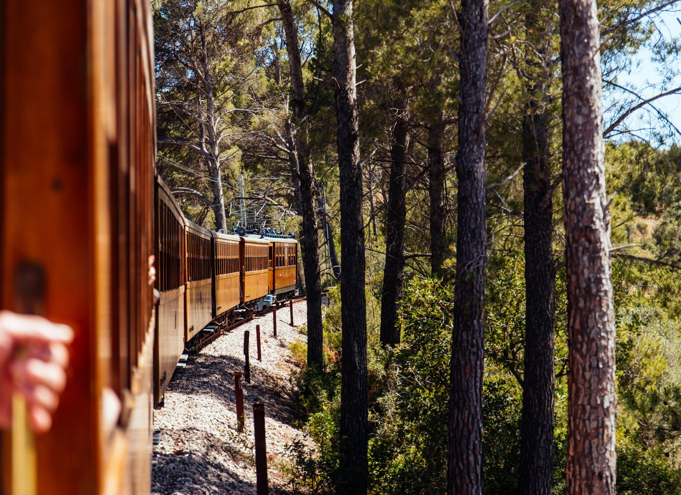 Fra Palma: Guidet tur til Serra Tramuntana og Lluc-klosteret