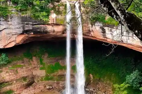 Visita de um dia ao Jardim das Delícias