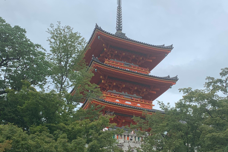 Tour privato di Kyoto