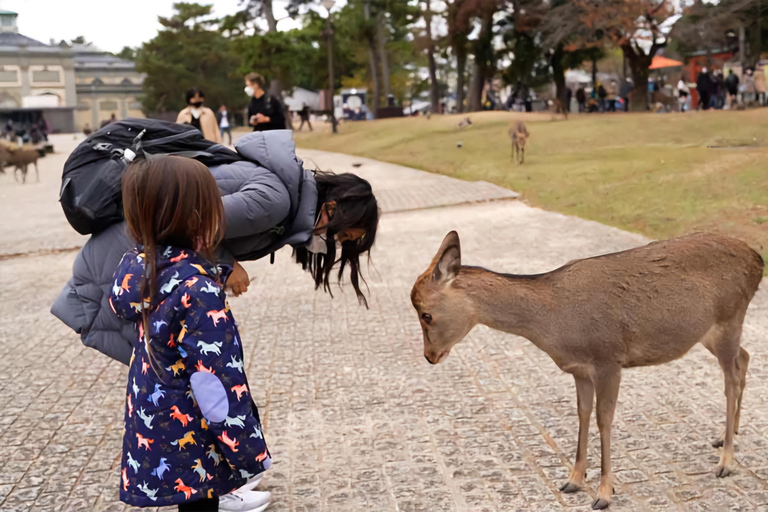 Nara: Private Day Trip by Premium Car from Osaka/Kyoto/Nara