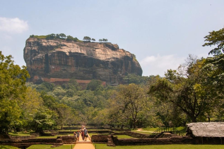 Sigiriya & Dambulla All Inclusive Day Trip Sigiriya & Dambulla All Inclusive Day Trip