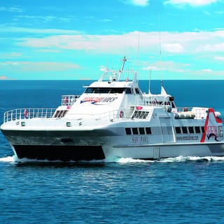 From Istria: Venice Day Trip with High Speed Catamaran