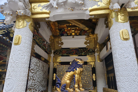 Tokyo: Nikko Private Day Trip with English Speaking Guide Tokyo or Nagoya: Nikko Private Day Trip with Guide