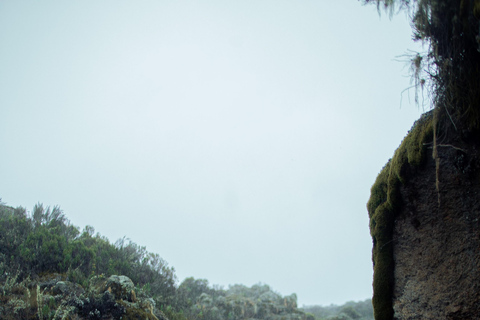 Moshi: Mount Kilimanjaro Day Trip – Marangu Route Day Hike