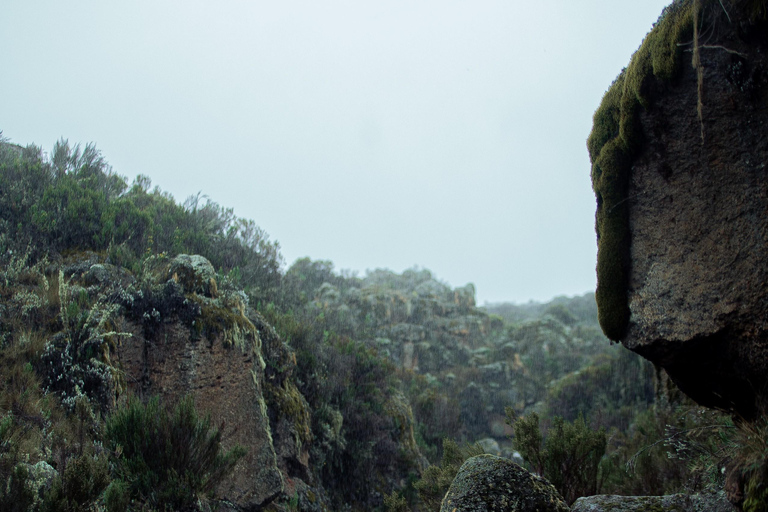 Moshi: Mount Kilimanjaro Day Trip – Marangu Route Day Hike