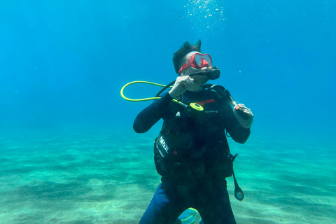 Curso de buceo para principiantes en el parque natural de TenerifeCurso privado de buceo para principiantes en el parque natural de Tenerife