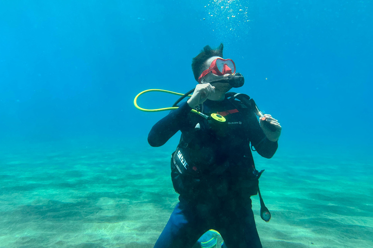 Curso de buceo para principiantes en el parque natural de TenerifeCurso privado de buceo para principiantes en el parque natural de Tenerife