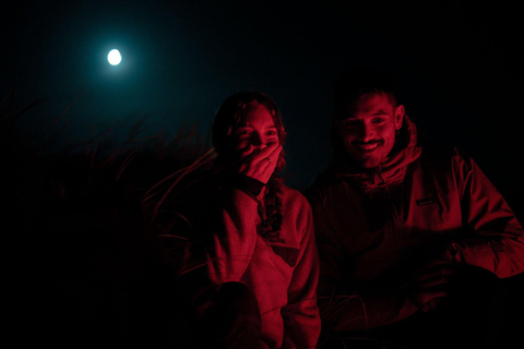 Stewart Island: Wild Kiwi Experiences Stewart Island: Wild Kiwi Encounter