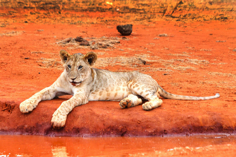 2-Day Tsavo East National Park Private Safari