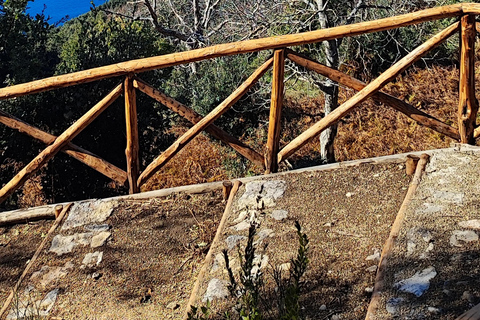 PATH OF THE GODS with NINO Expert local Guide free transport