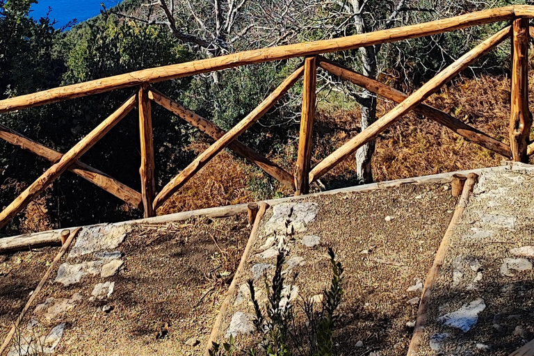 PATH OF THE GODS with NINO Expert local Guide free transport